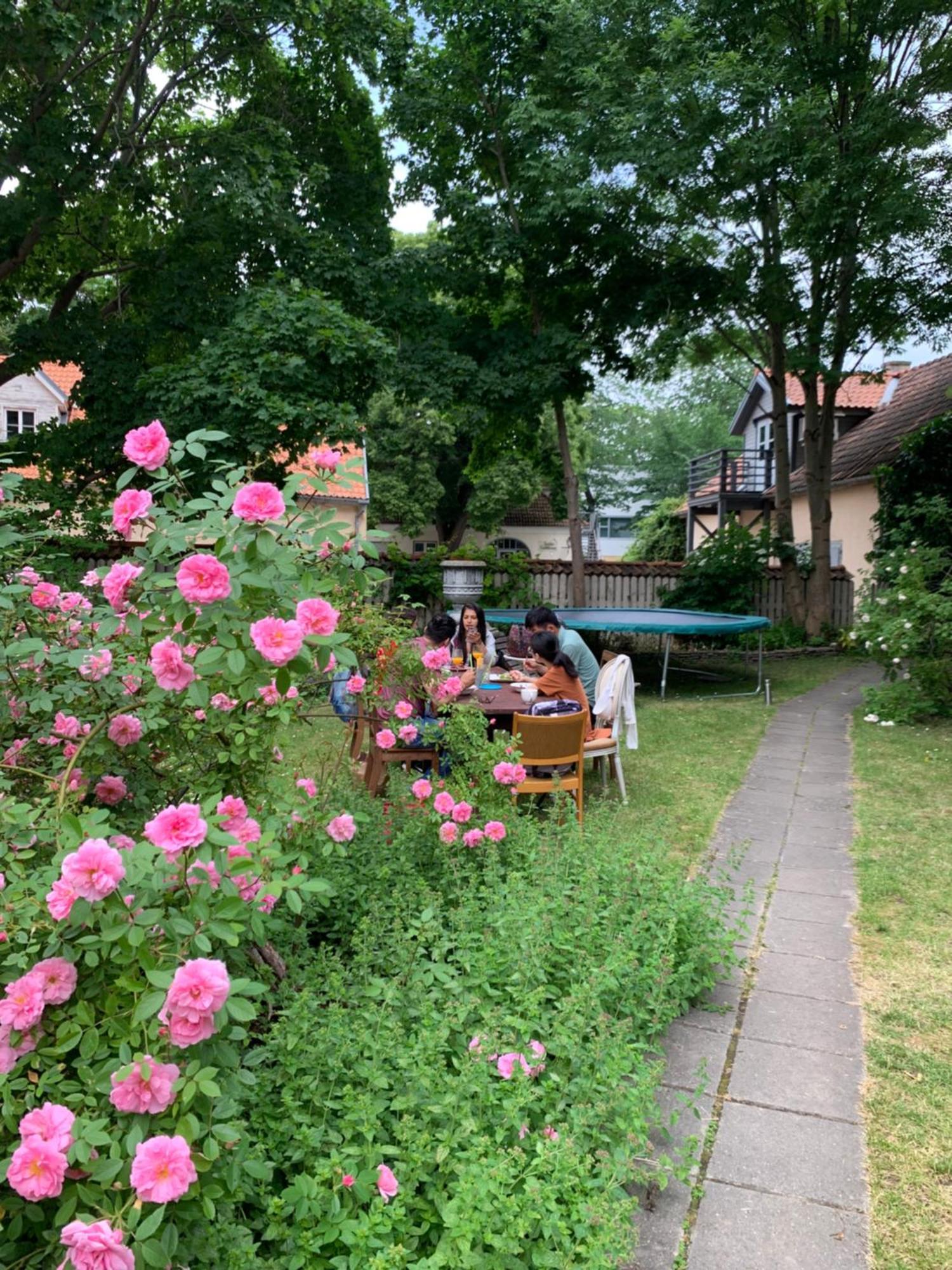Suviste Guesthouse Kuressaare Esterno foto